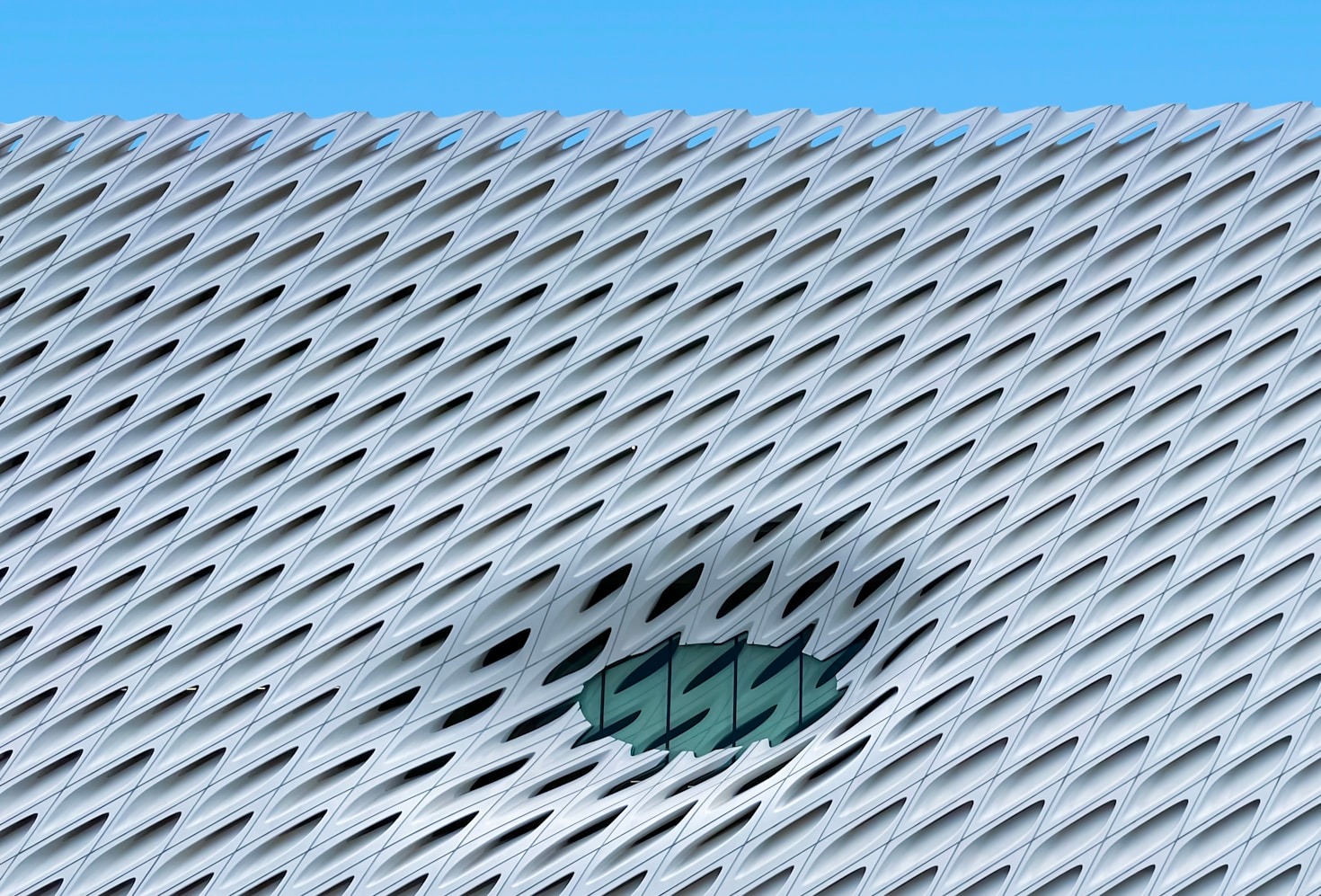 Community Voices: Spotlight on Member Contributions